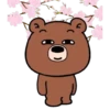 Bear & Rabbit Spring MOV. 16