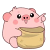 Pig .MOV 16