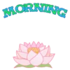 ice morning / night 21