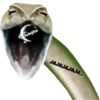 Animalitos Riéndose1 21