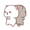 mochi cat animated 2 24