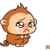 Monito bonito.mov 15