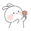 Amore   Bunny Mov 13
