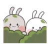 Amore   Bunny Mov 14