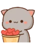 Mochis cats 6