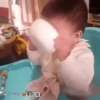 Bebés 1 movi 27