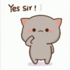 mochi cat animated 27