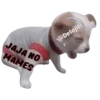 Animalitos Riéndose1 25