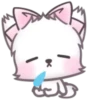 Fluffy Kitten 2 MOV. 15