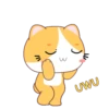 Yellow Cat .MOV 19
