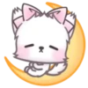 Fluffy Kitten 2 MOV. 16