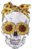 Sunflowers ❥ ︎ͫ1 Clásica 27