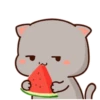 mochi cat animated 29