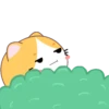 Yellow Cat .MOV 21