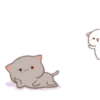 mochi cat animated 2 26