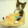 Gatos 1 Movi 26