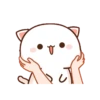 mochi cat animated 2 29
