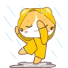 Yellow Cat .MOV 22