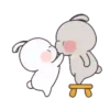 Amore   Bunny Mov 16
