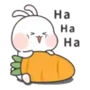 Amore   Bunny Mov 22