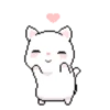 CaT︎  CaT︎ 27