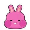Coelho rosa 1 5
