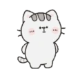 Mr. bear and his cutie cat .MOV 6