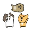 Sinko the Cat: What a Cat Wants 5