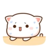 MOCHIS CAT Extra"Q" MOV 5