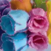 Colorea los Momentos❦1 Movi 8
