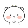 Oso blanco Dudu 6