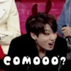 BTS stickers 7