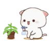 MOCHIS CAT Extra"Q" MOV 6