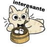 Gatito 5