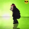 Monkeys Dancing .mov 7