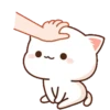 Mochi Peach Cat 5