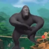 Monkeys Dancing .mov 8