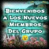 Grupo 1 Movi 9