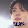 BTS stickers 14