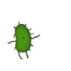 Микробиология 14