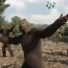 Monkeys Dancing .mov 12