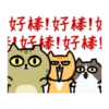 Sinko the Cat Lady: Aru 9