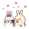 Rabbit Couple mov 8