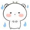 Oso blanco Dudu 10