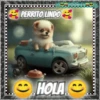 Hola!Perrito Lindo 1 Movi 11