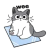 Gatito 10