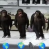 Monkeys Dancing .mov 13