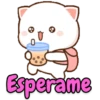 MÁS MOCHI CAT mov 10