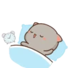 Mochi Peach Cat 7