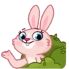 Mia Bunny 15